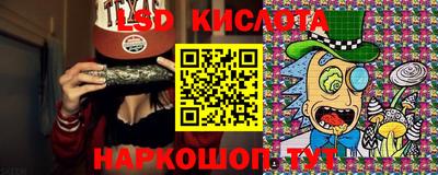 дмт Донской