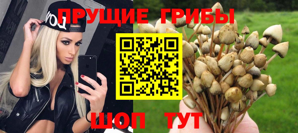 Галлюциногенные грибы мухоморы Нефтекамск