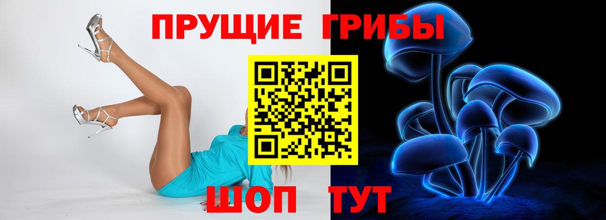 Псилоцибиновые грибы Psilocybine cubensis  Псилоцибиновые грибы ЛСД  Нефтекамск  Вход с VPN 